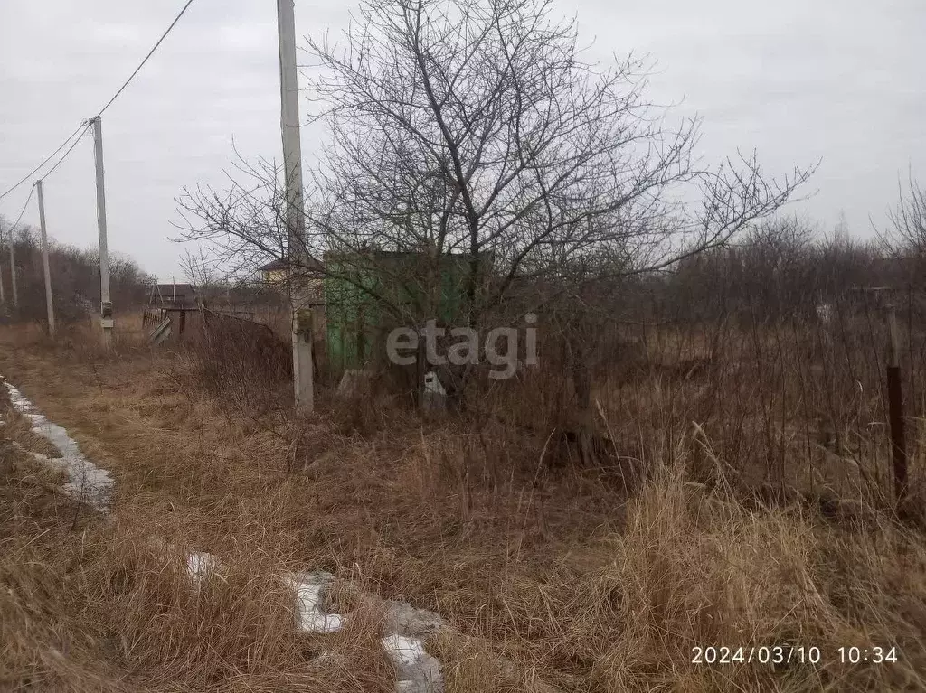 Участок в Белгородская область, Белгородский район, Беломестненское ... - Фото 1