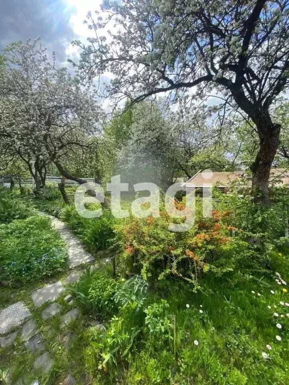 Участок в Санкт-Петербург Арсенал-Ржевка СНТ, ул. Арсенальная, 34 (5.6 ... - Фото 1