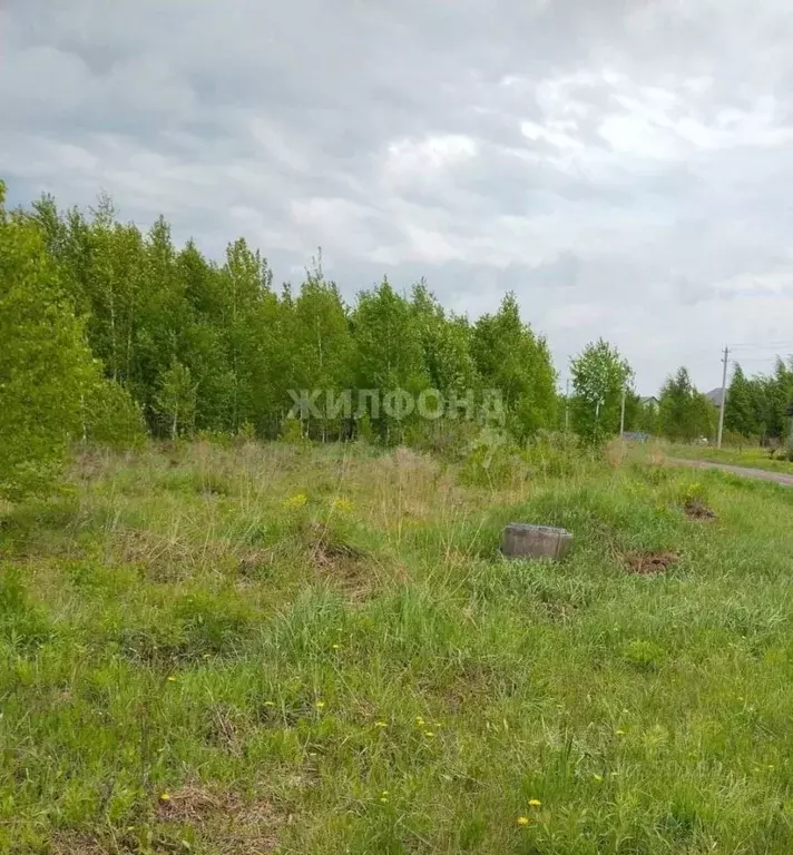 Участок в Новосибирская область, Новосибирский район, Барышевский ... - Фото 0