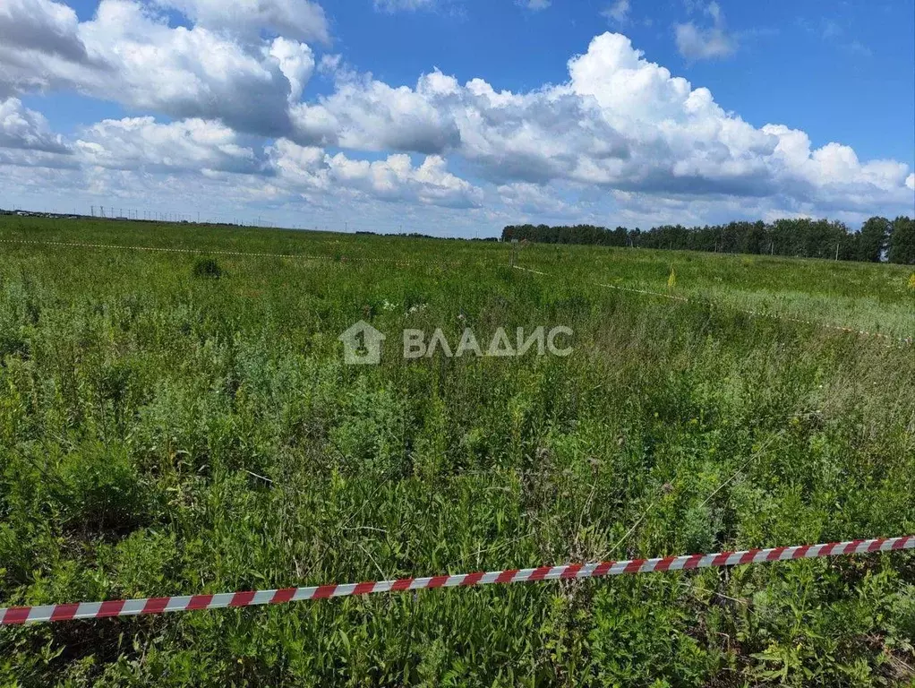 Участок в Тамбовская область, Тамбовский муниципальный округ, с. ... - Фото 1