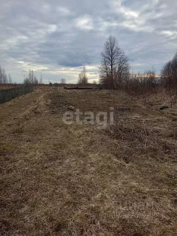 Участок в Ярославская область, Рыбинский муниципальный округ, д. ... - Фото 2