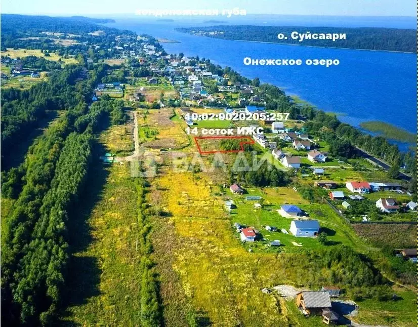 Участок в Карелия, Прионежский район, Заозерское с/пос, д. Суйсарь  ... - Фото 2
