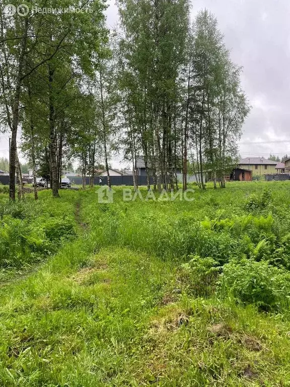 Участок в Бугровское городское поселение, массив Мендсары (28 м) - Фото 1