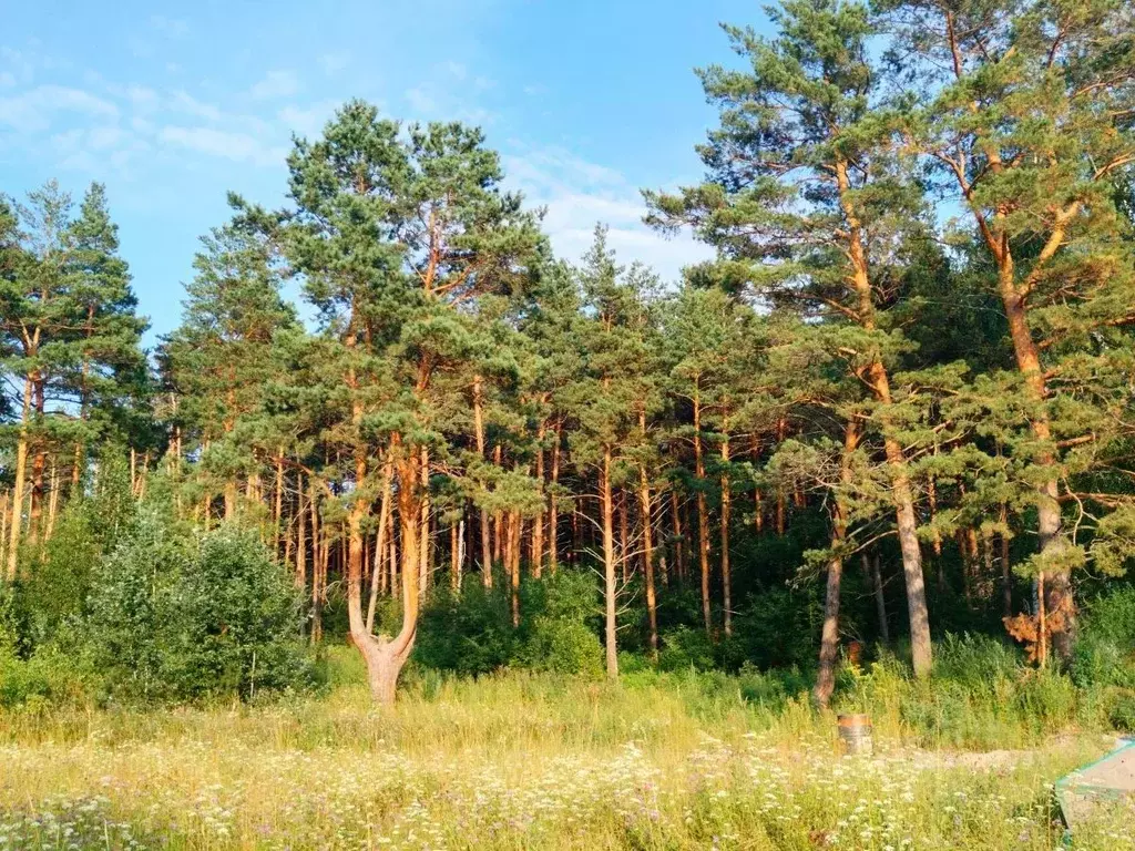 Участок в Новосибирская область, Мошковский район, с. Белоярка ул. ... - Фото 1