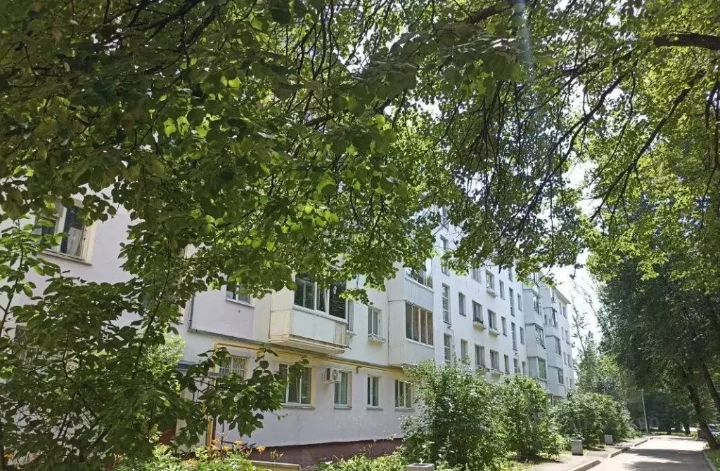 1-к кв. Татарстан, Нижнекамск просп. Строителей (30.6 м) - Фото 1
