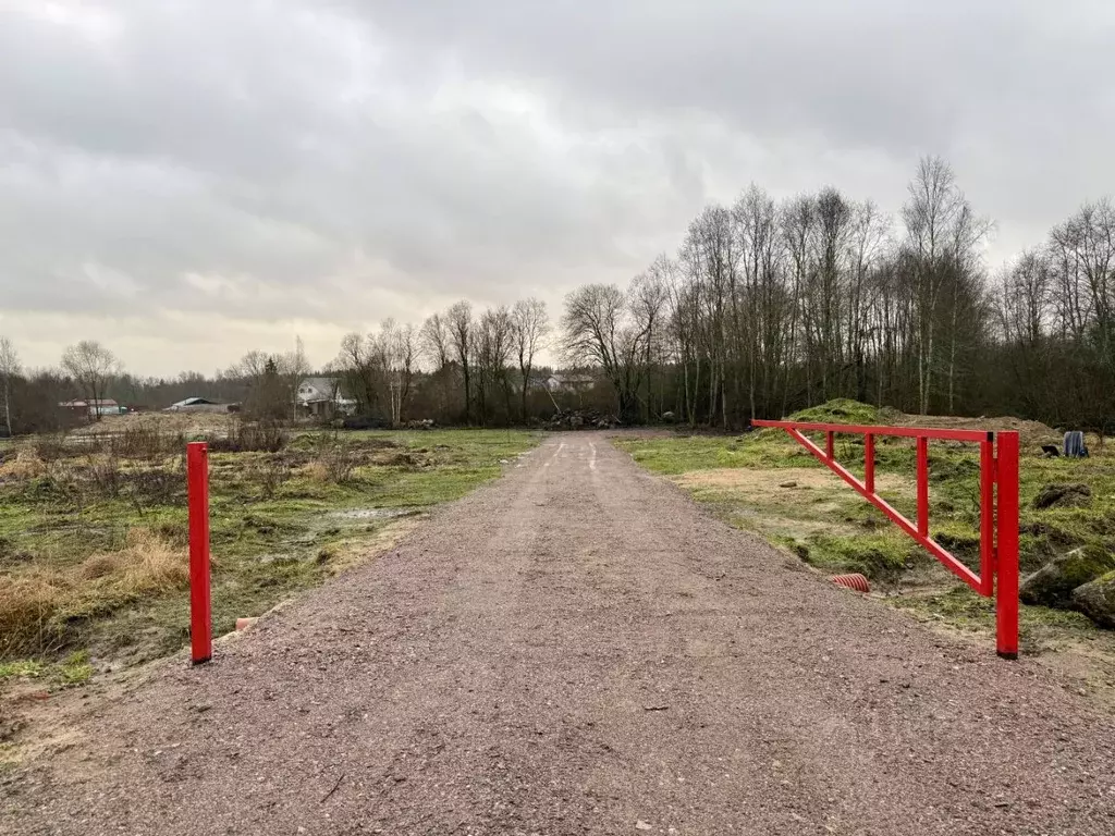 Участок в Ленинградская область, Выборгский район, Рощинское городское ... - Фото 0