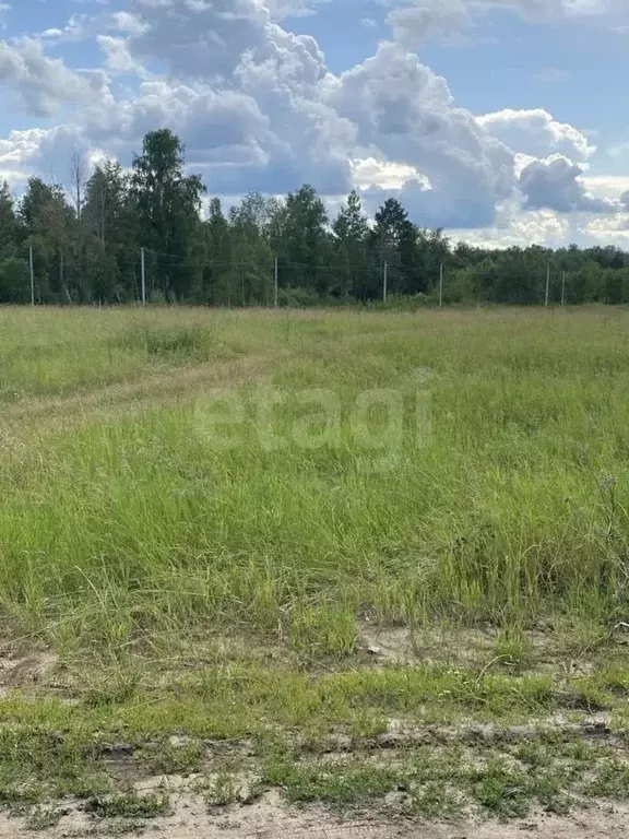 Участок в Тюменская область, Тюменский муниципальный округ, ... - Фото 1