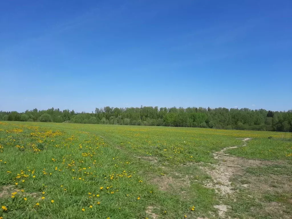 Участок в Московская область, Солнечногорск городской округ, д. ... - Фото 1