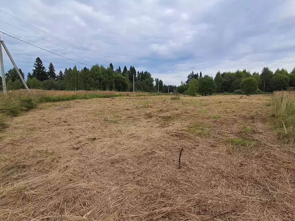Участок в Московская область, Клин городской округ, д. Кузнецово  ... - Фото 1