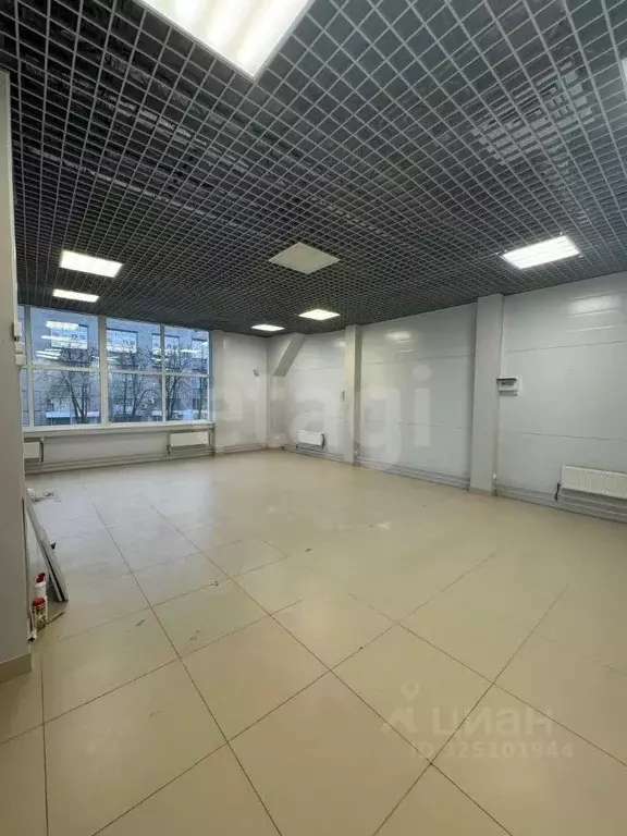 Торговая площадь в Псковская область, Псков ул. Яна Фабрициуса, 5В (75 ... - Фото 1