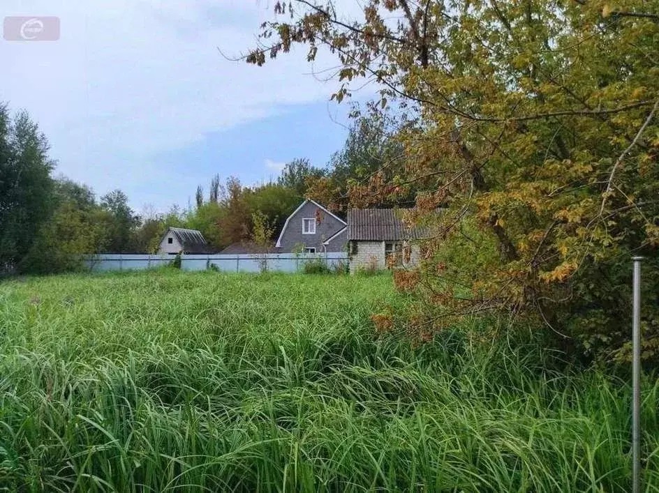 Участок в Воронежская область, с. Новая Усмань ул. Набережная (12.0 ... - Фото 1