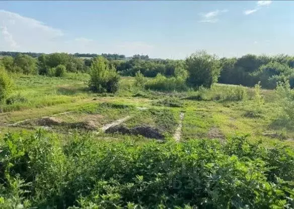 Участок в Белгородская область, Белгородский район, с. Стрелецкое ... - Фото 1