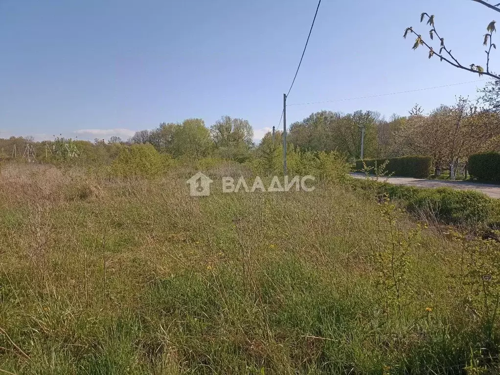 Участок в Калининградская область, Багратионовск Садовая ул. (8.0 ... - Фото 1