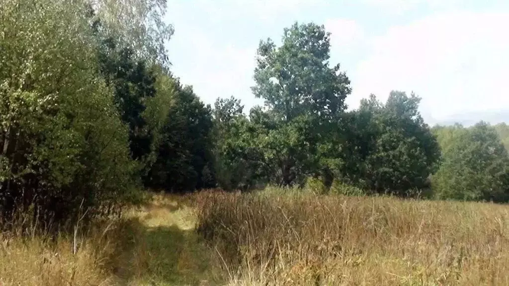 Участок в Нижегородская область, Дивеевский муниципальный округ, д. ... - Фото 2