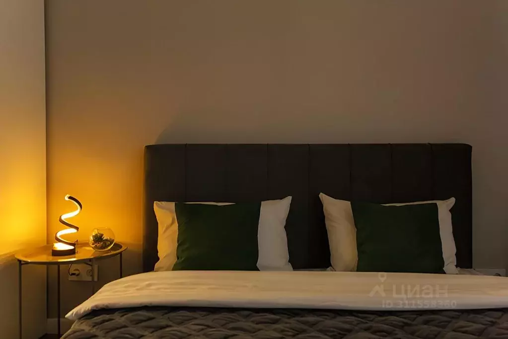 Студия Новосибирская область, Новосибирск ул. Аэропорт, 49/2 (24.0 м) - Фото 2