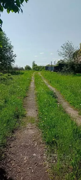 Участок в Брянская область, Брянский район, Добрунское с/пос, с. ... - Фото 2