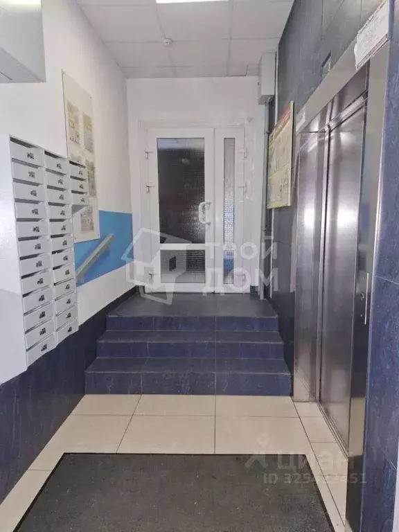 Студия Санкт-Петербург ул. Адмирала Черокова, 18к1 (24.1 м) - Фото 2