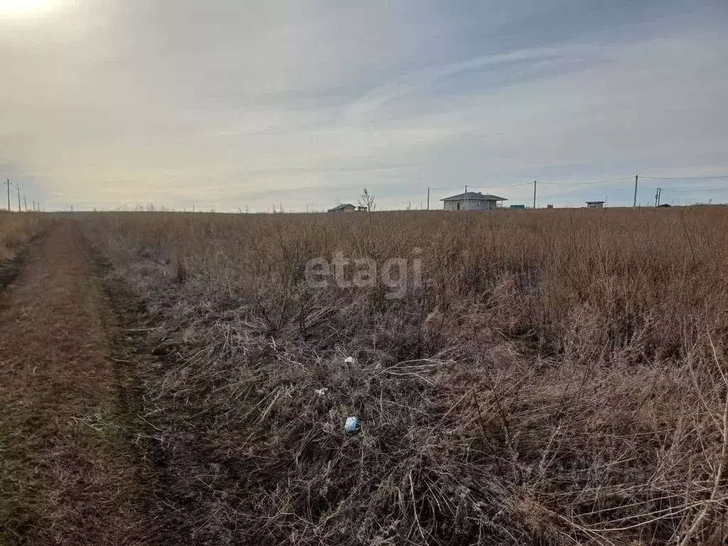 Участок в Воронежская область, Семилукский район, с. Девица ул. ... - Фото 1