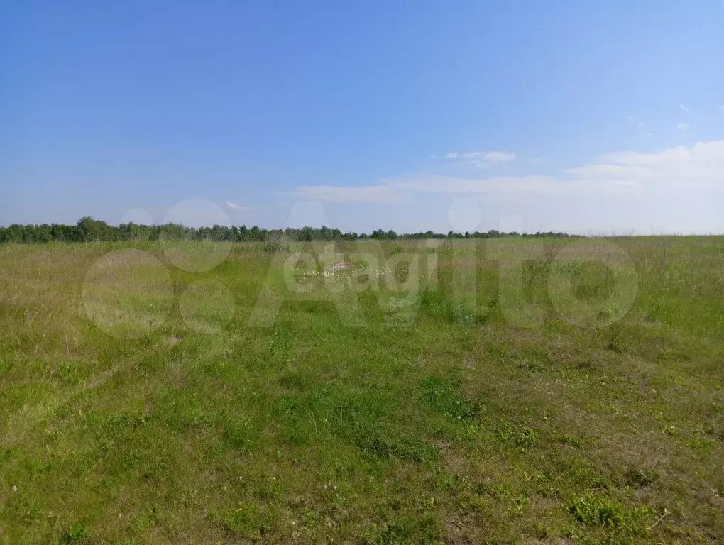 Участок 180 га (СНТ, ДНП) - Фото 1