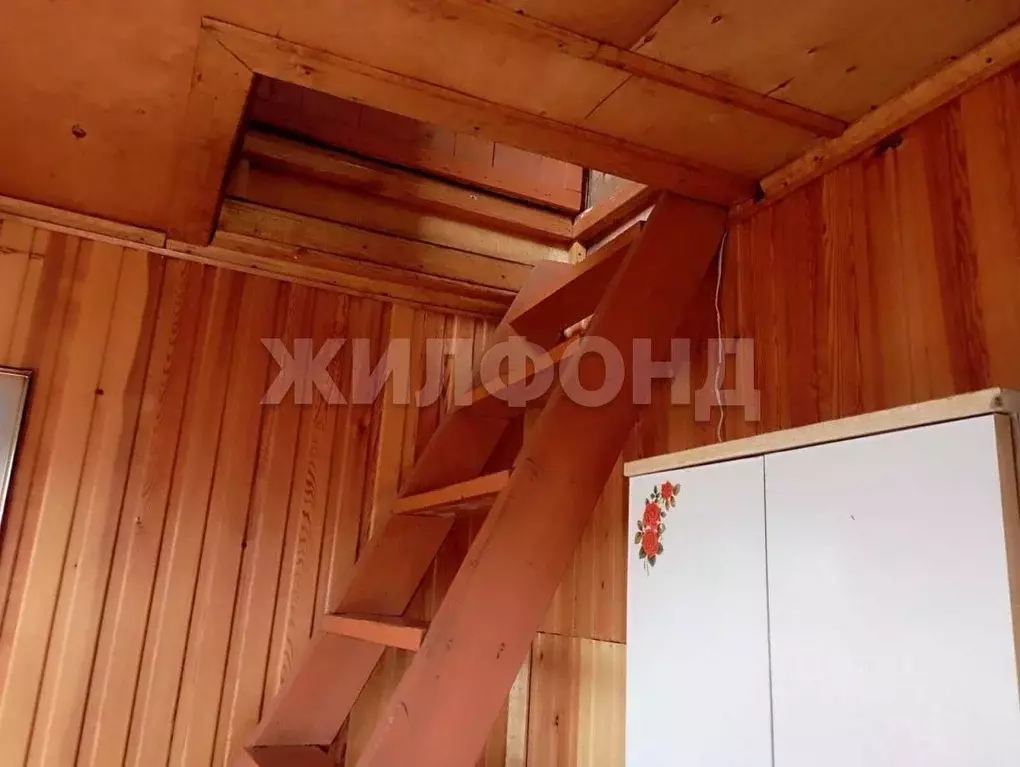 Участок в Новосибирская область, Новосибирский район, Морской ... - Фото 1