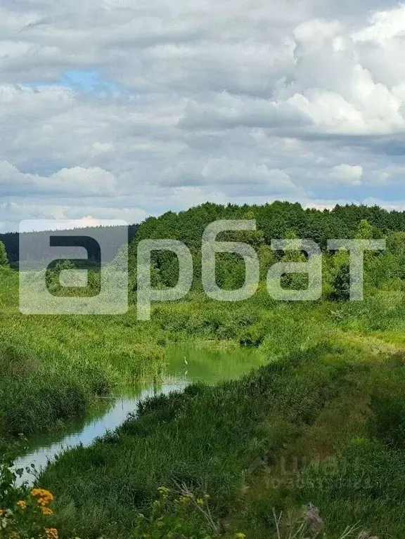 Дом в Нижегородская область, Дальнеконстантиновский муниципальный ... - Фото 0