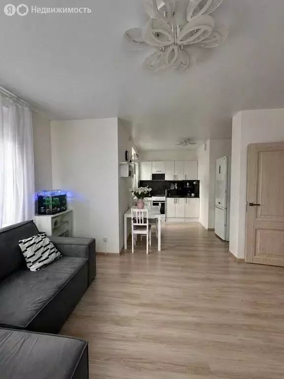 1-комнатная квартира: деревня Анкудиновка, Русская улица, 11 (42.8 м) - Фото 2