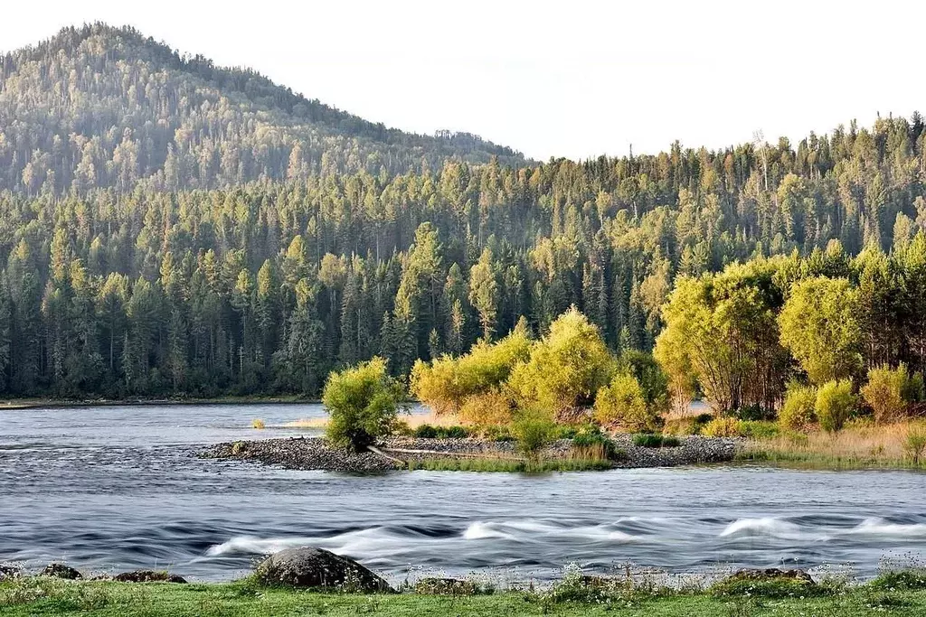 Дом в Алтай, Турочакский район, с. Турочак Береговая ул. (46 м) - Фото 0