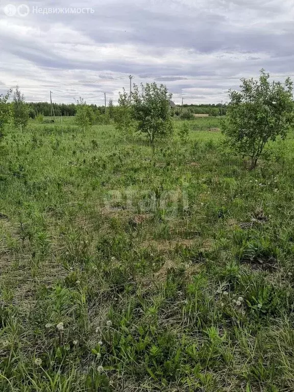 Участок в Кемеровский муниципальный округ, СНТ Кирилловка (15 м) - Фото 1