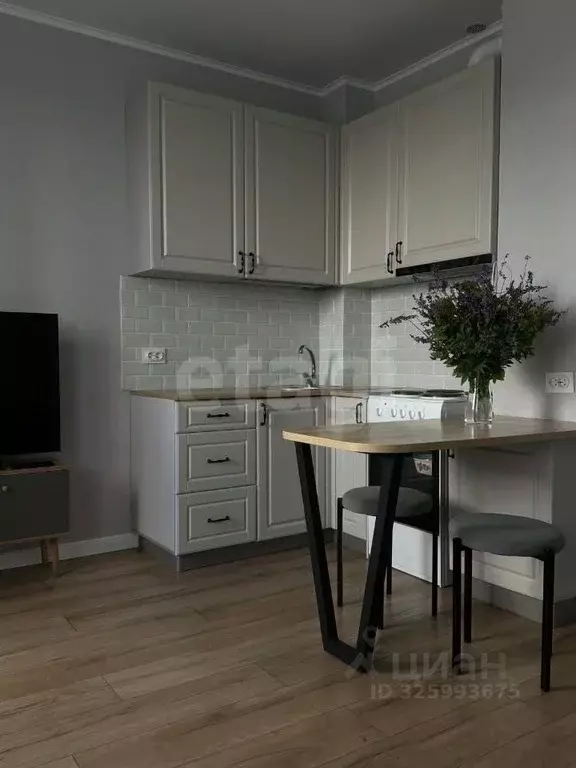 Студия Пермский край, Пермь ул. Агатовая, 36 (22.3 м) - Фото 1