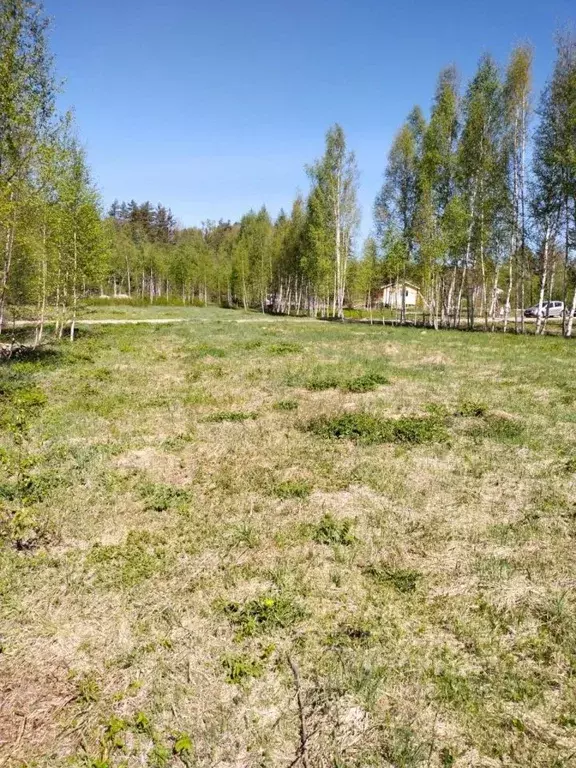 Участок в Ленинградская область, Приозерский район, Ларионовское ... - Фото 0