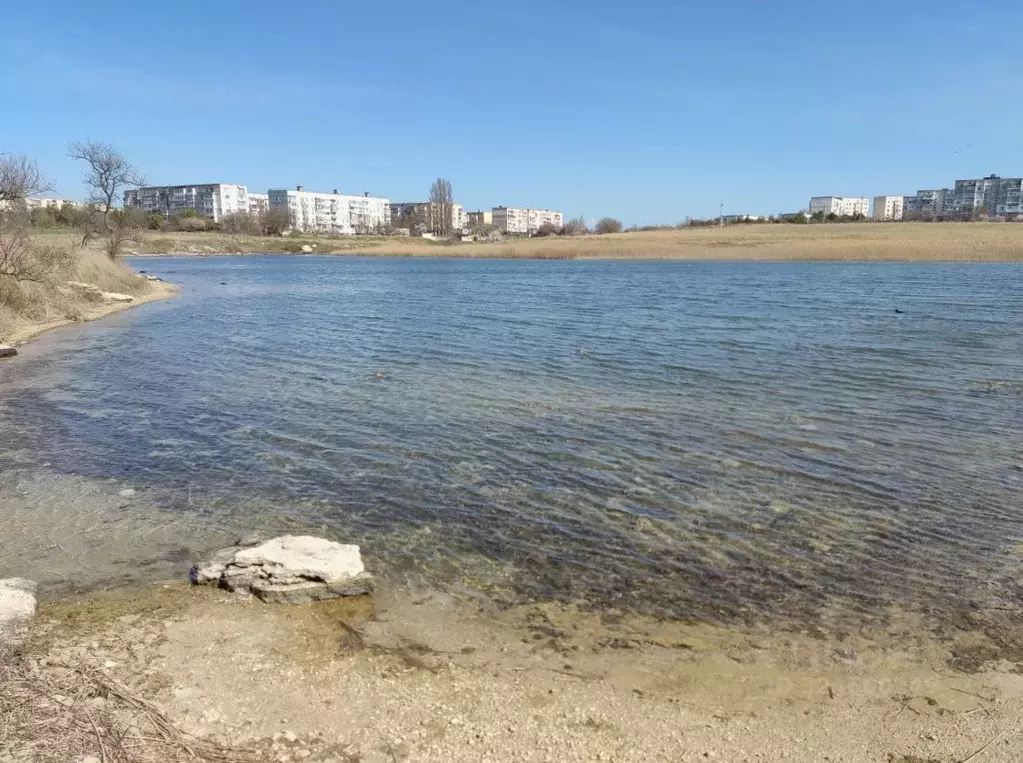 Участок в Крым, Евпатория городской округ, Новоозерное пгт ул. ... - Фото 2