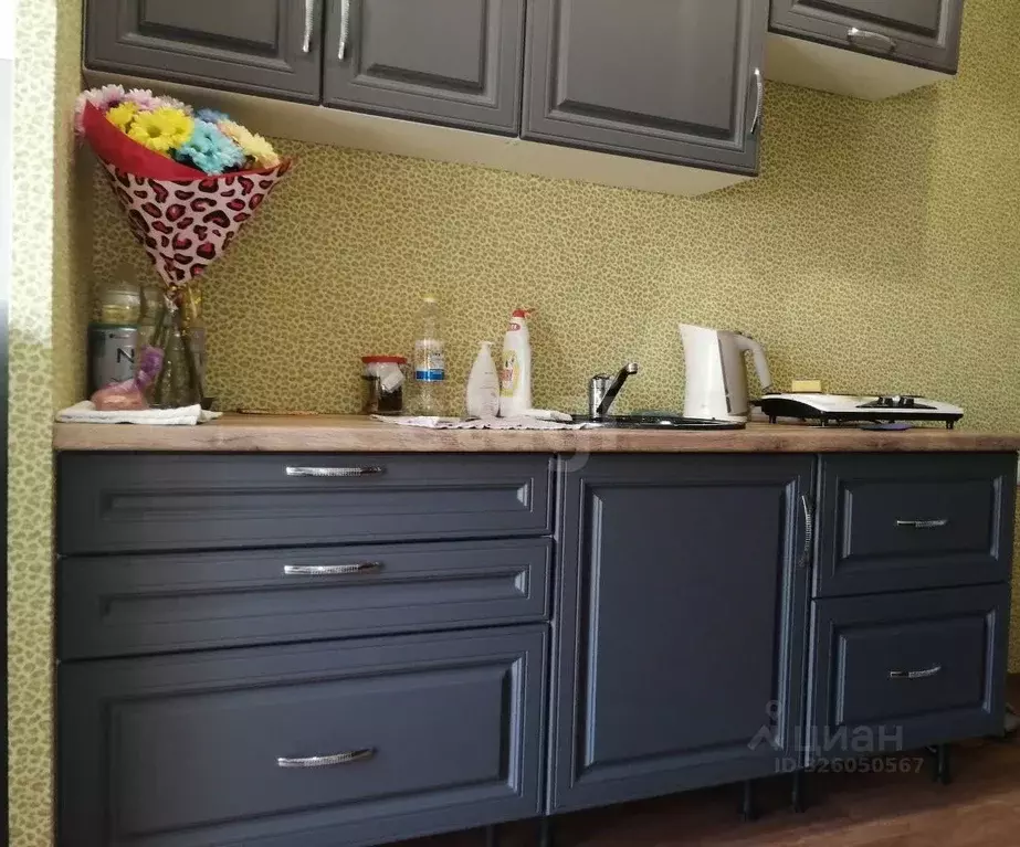 Студия Камчатский край, Елизовский муниципальный округ, пос. ... - Фото 2