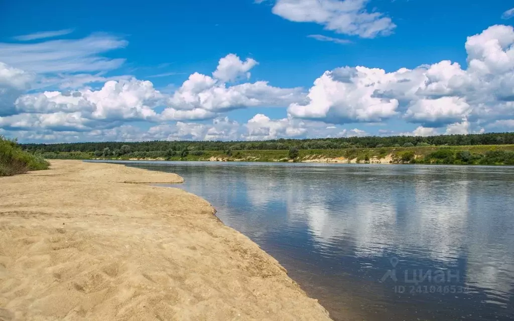 Участок в Тульская область, Ясногорский район, Иваньковское ... - Фото 1