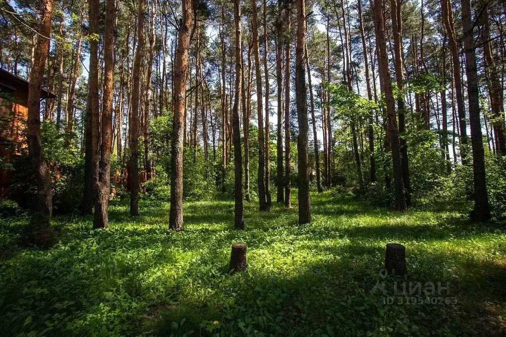 Участок, 24 сот., сельхоз (снт или днп) - Фото 1