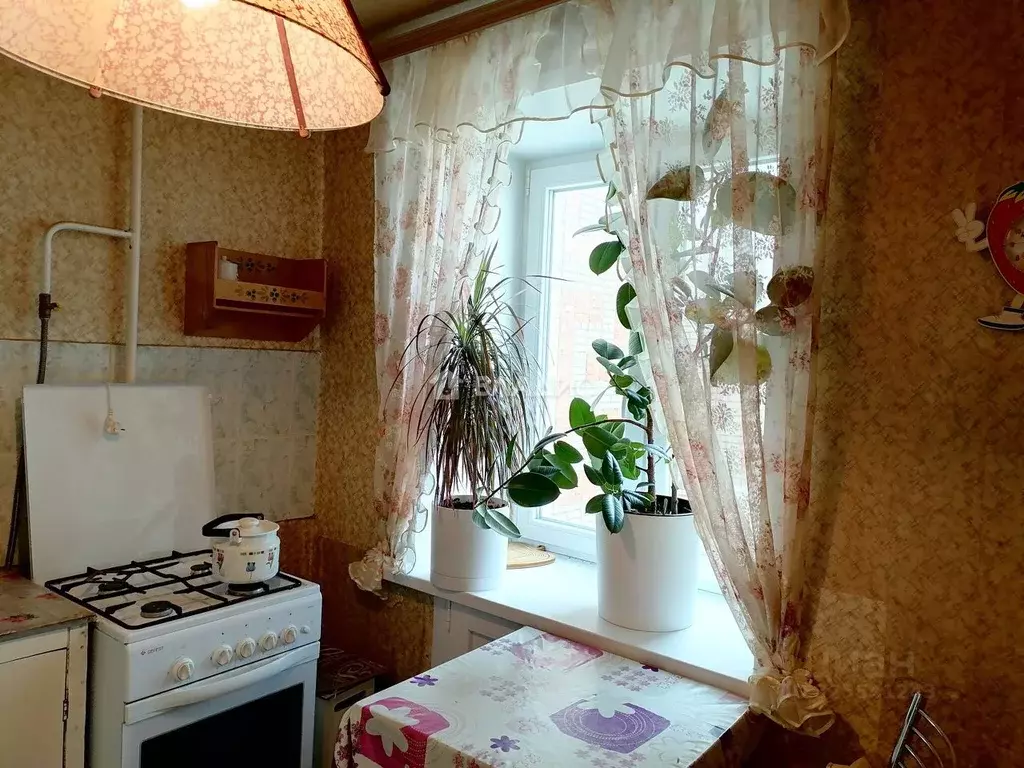 1-к кв. Владимирская область, Ковров Социалистическая ул., 21 (35.3 м) - Фото 1