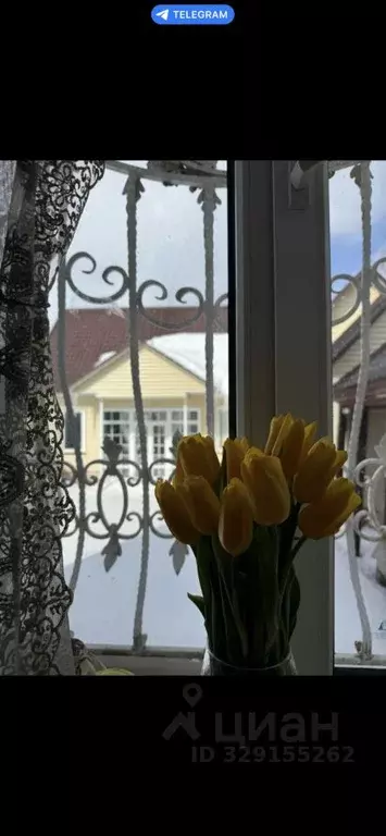 Дом в Оренбургская область, Бузулук ул. Покровская, 39 (188 м) - Фото 2