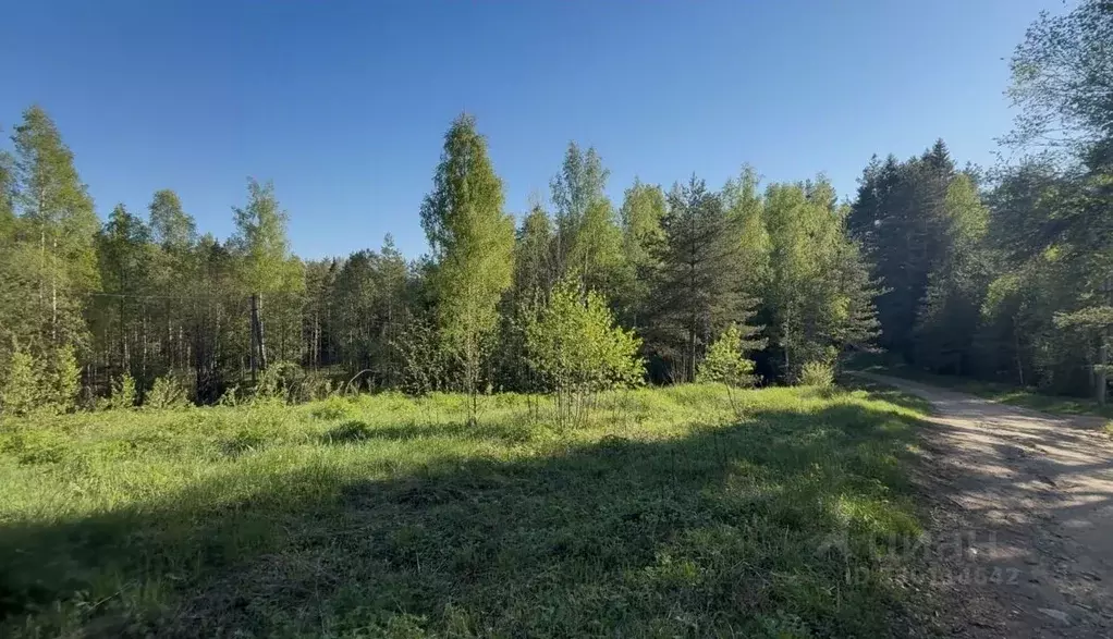 Участок в Новгородская область, Валдайский муниципальный район, ... - Фото 2