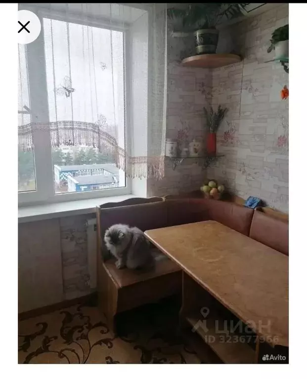 3-к кв. Ростовская область, Азов Азовский район, Петровский бул. (64.0 ... - Фото 2