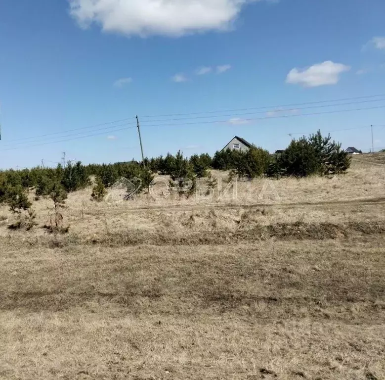 Участок в Тюменская область, Тюменский муниципальный округ, с. Борки  ... - Фото 2