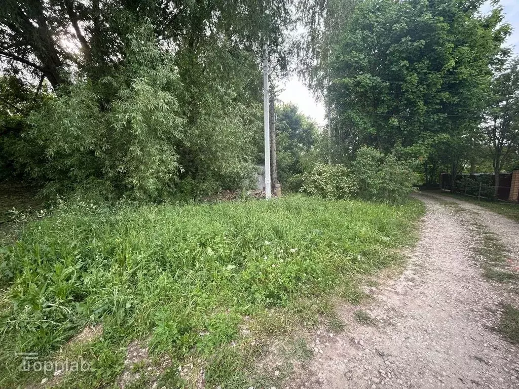 Участок в Брянская область, Брянский район, Чернетовское с/пос, д. ... - Фото 1