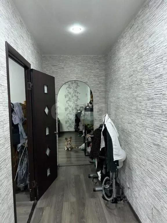 3-к кв. Брянская область, Почеп пер. 2-й Мира, 26 (62.4 м) - Фото 1