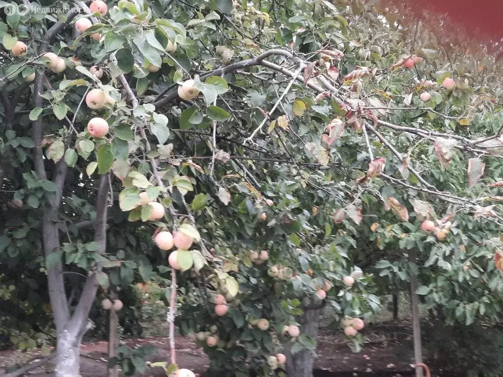 Дом в Московская область, городской округ Щёлково, село Душоново, КП ... - Фото 1