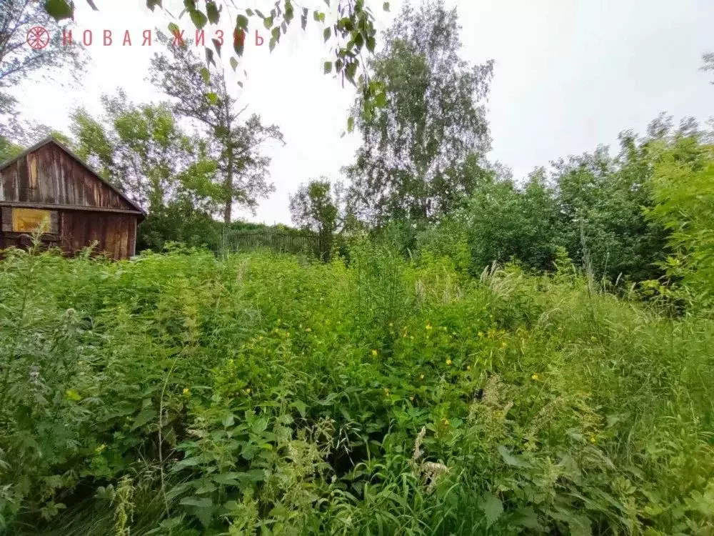 Участок в Самарская область, Красноярский район, Коммунарский с/пос, ... - Фото 2