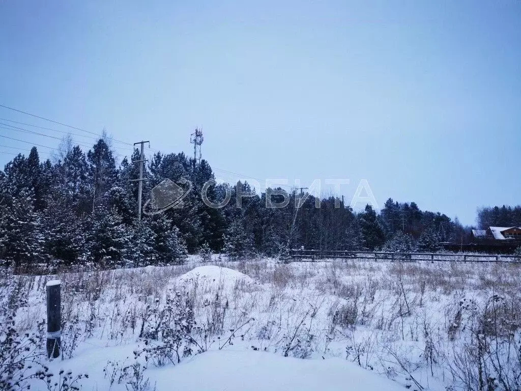 Участок в Тюменская область, Тюменский район, д. Черная Речка ... - Фото 1