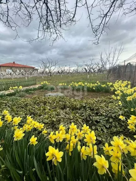 Участок в село Ромашкино, улица Мира (17.8 м) - Фото 0