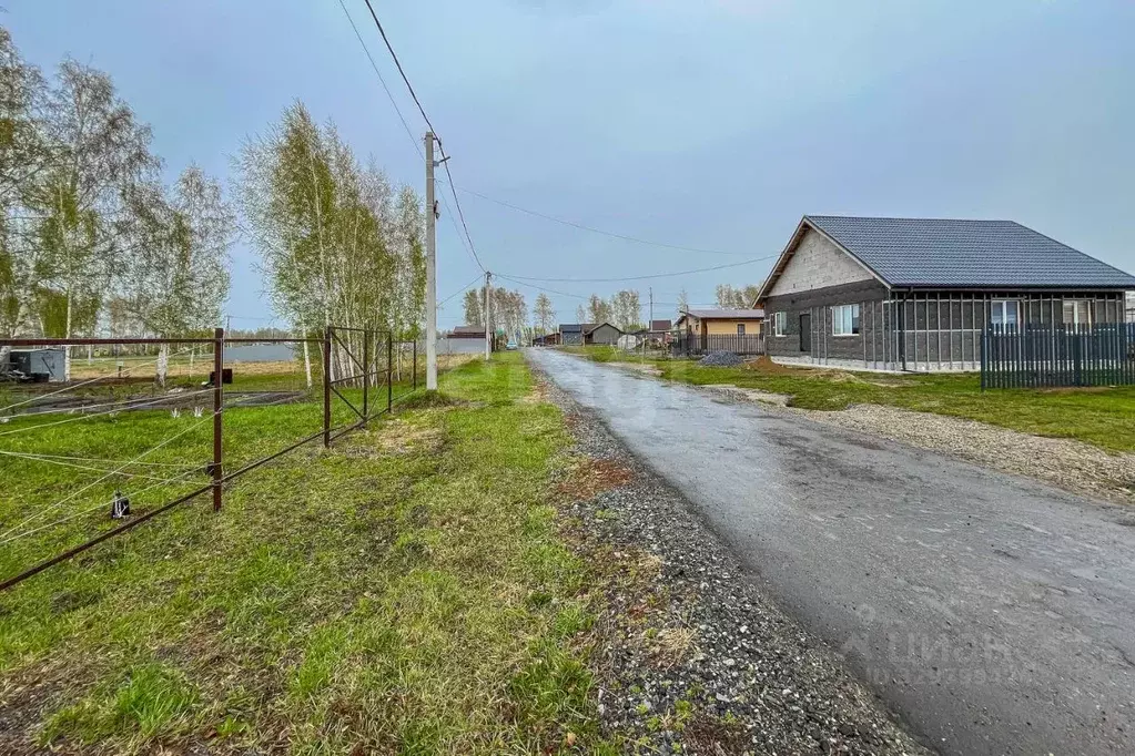 Участок в Новосибирская область, Новосибирский район, Сибирские ... - Фото 1
