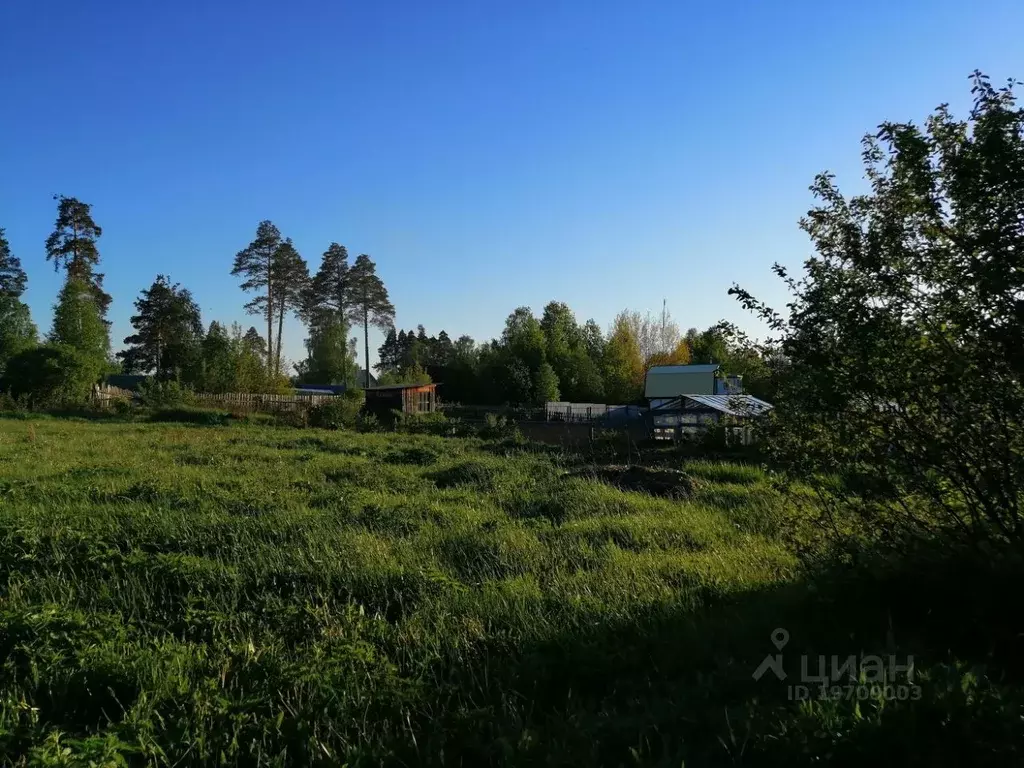 Участок в Свердловская область, Верхняя Пышма городской округ, пос. .,  Купить земельный участок Кедровое, Свердловская область, ID объекта -  20005166043