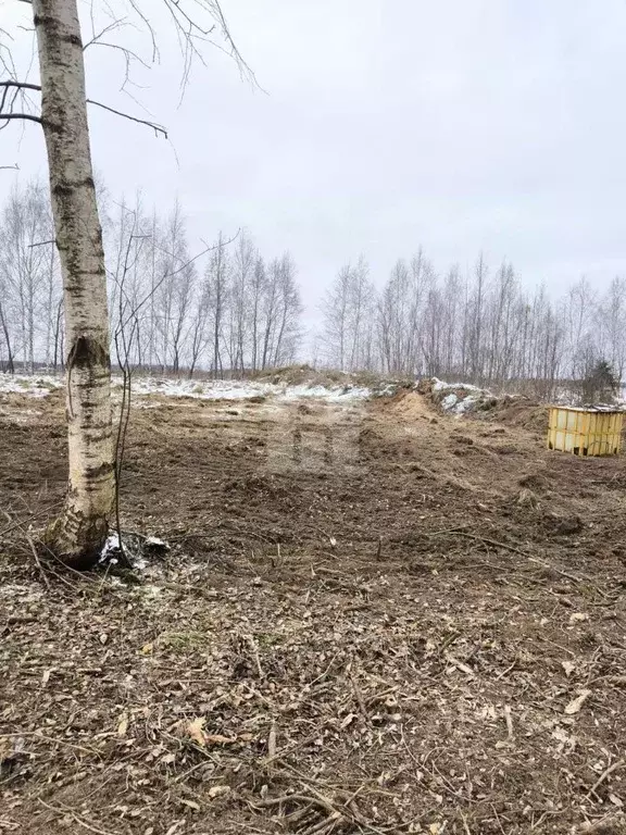 Участок в Ярославская область, Некрасовское с/пос, д. Новые Ченцы  ... - Фото 1