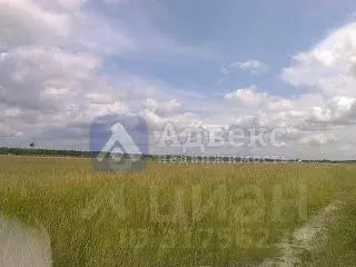 Участок в Тюменская область, Тюменский район, д. Речкина  (10.08 сот.) - Фото 1