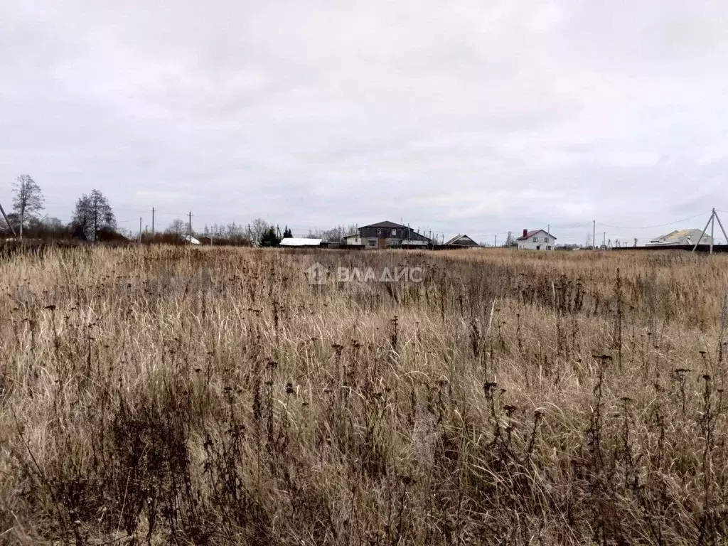 Участок в Владимирская область, Собинский муниципальный округ, с. ... - Фото 1